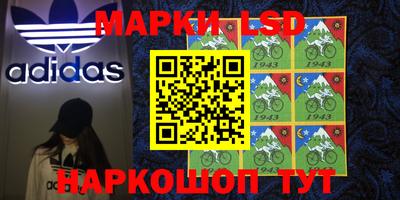 мдпв Камышлов