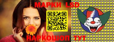 мдпв Камышлов