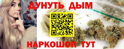 гидра Кингисепп