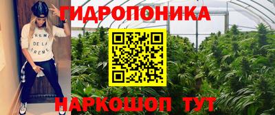 мдпв Камышлов