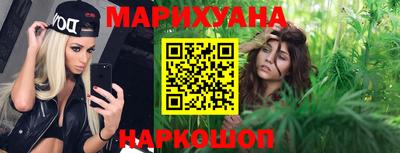 мдпв Камышлов