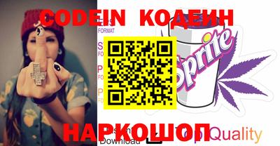 мдпв Камышлов