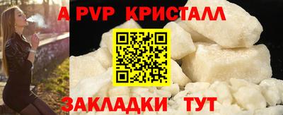 мдпв Камышлов
