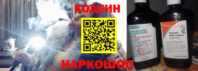 мдпв Камышлов